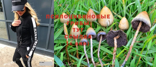 молекула духа Осинники