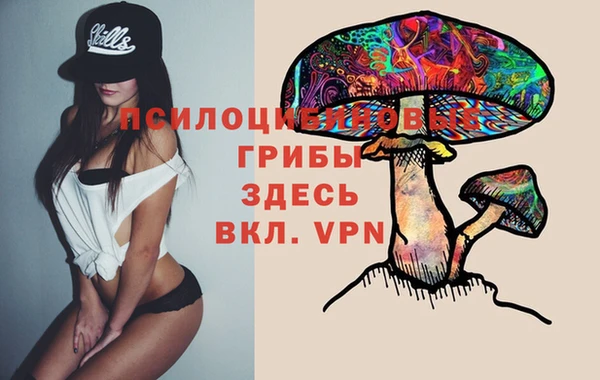 метамфетамин Осташков