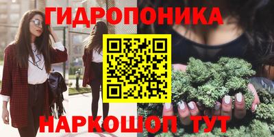 2c-b Заводоуковск