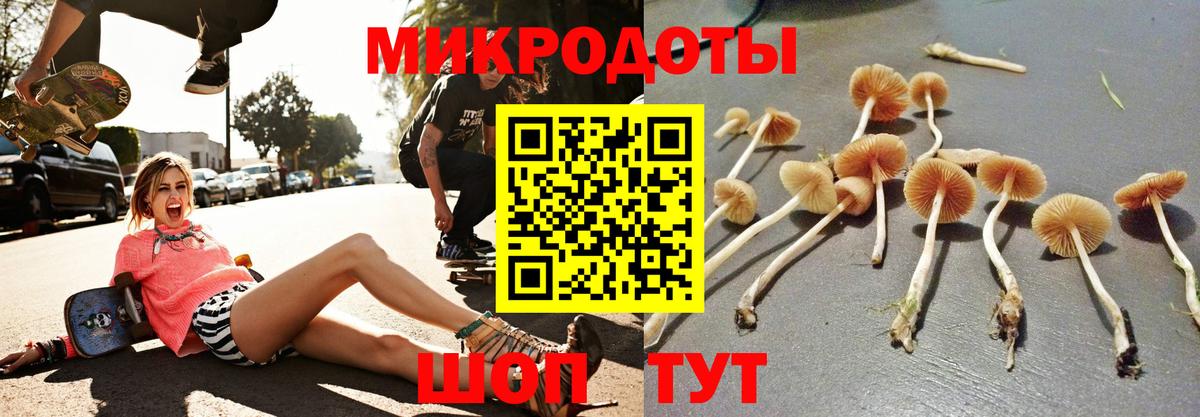 Псилоцибиновые грибы Psilocybine cubensis Нягань